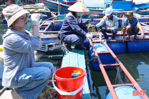 Sở NN&MT Hà Tĩnh thông báo kết quả phân tích mẫu cá tại Vũng Áng, Thiên Cầm