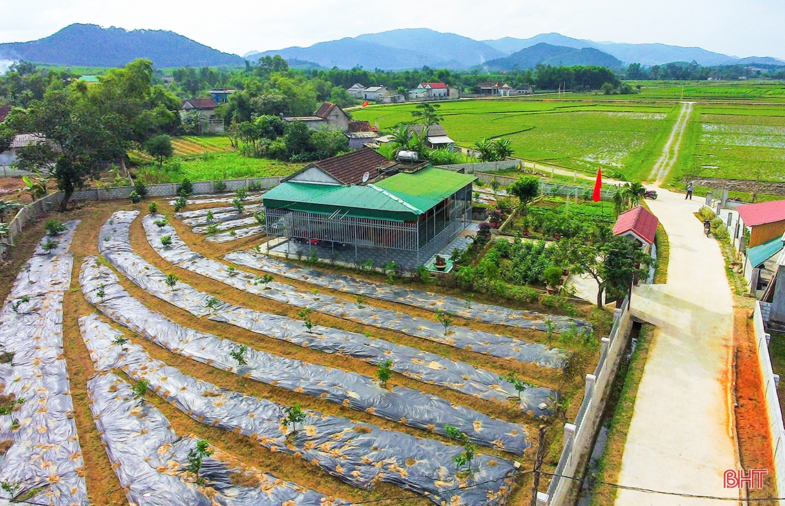 “Lạc bước” nơi miền quê đáng sống Cẩm Sơn!