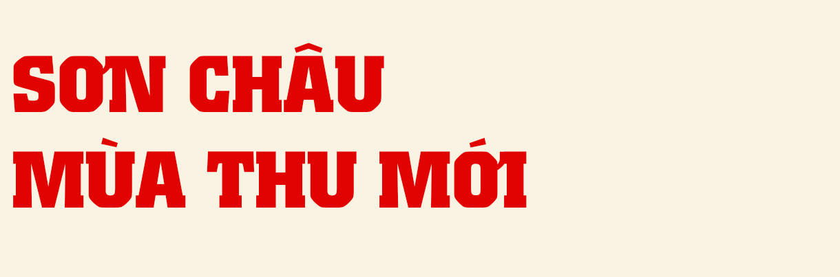“Hạt giống đỏ” Xô viết nảy mầm xanh tươi…