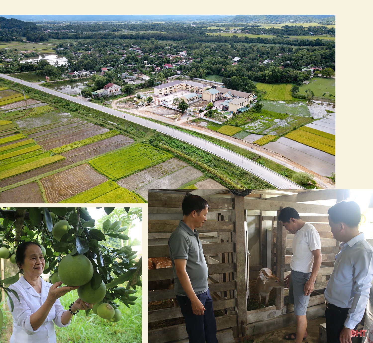 “Hạt giống đỏ” Xô viết nảy mầm xanh tươi…
