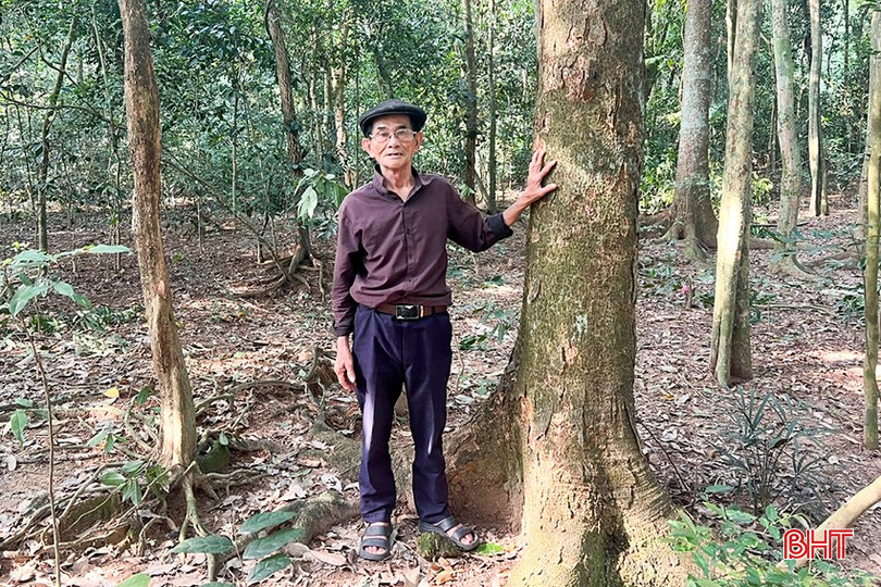 Ông Nguyễn Văn Thanh cho biết: "Vườn cây này là của ông nội tôi để lại cho các bác, các chú và cha tôi. Từ năm 1970, anh em tôi tiếp nhận bảo vệ, chăm sóc đến tận bây giờ".