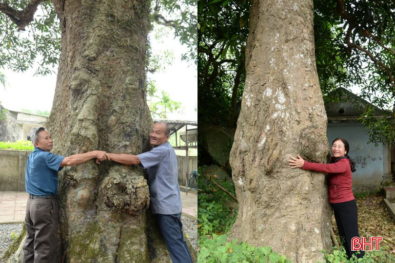 Thiết kế chưa có tên-2.jpg