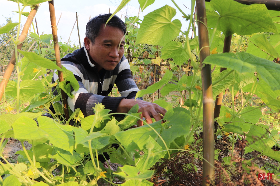 Thanh bình, tươi mới trên vùng quê tái định cư ở Vũ Quang