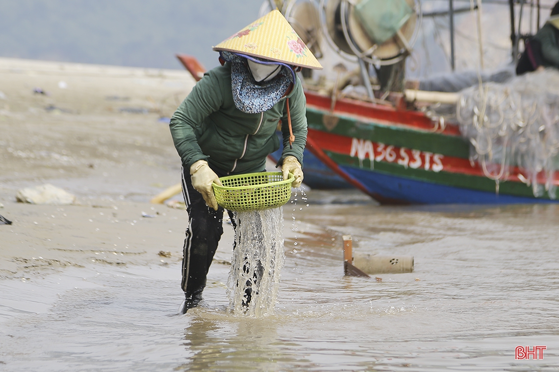 Đục hàu trên đá dưới chân cảng cá Cửa Sót