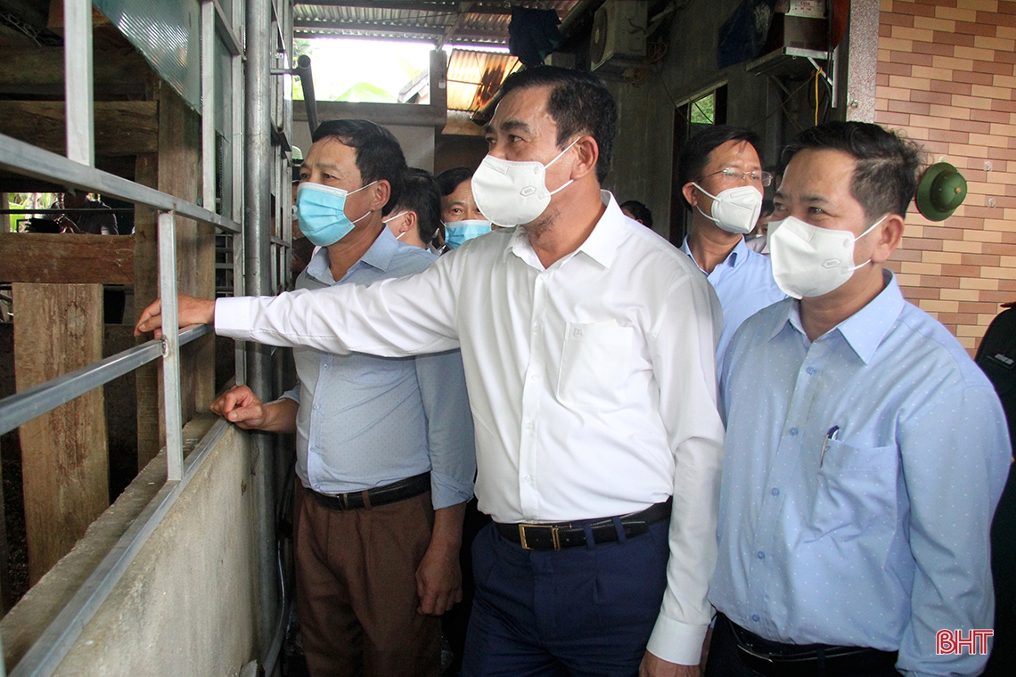 Phát huy tiềm năng, lợi thế sản phẩm chủ lực để nâng cao giá trị nông nghiệp ở Hương Sơn