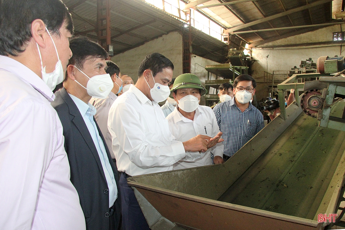 Phát huy tiềm năng, lợi thế sản phẩm chủ lực để nâng cao giá trị nông nghiệp ở Hương Sơn