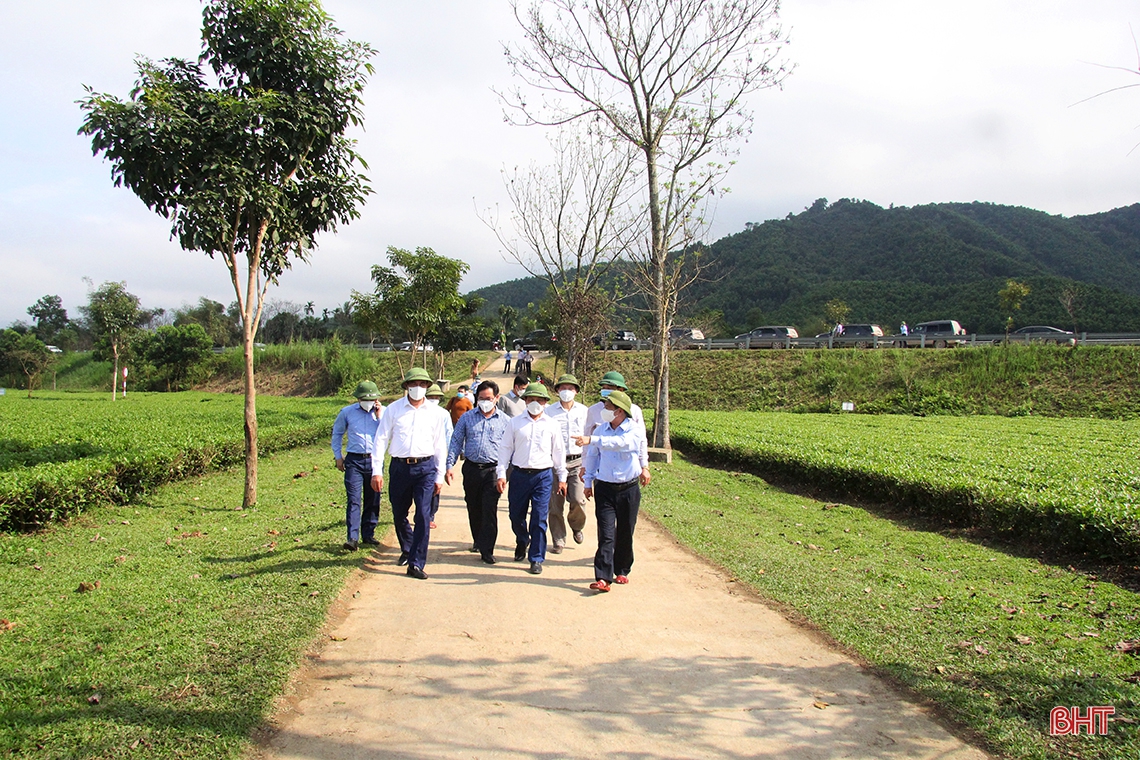 Phát huy tiềm năng, lợi thế sản phẩm chủ lực để nâng cao giá trị nông nghiệp ở Hương Sơn