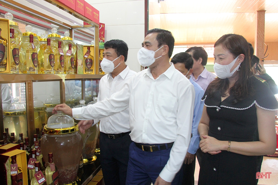 Phát huy tiềm năng, lợi thế sản phẩm chủ lực để nâng cao giá trị nông nghiệp ở Hương Sơn