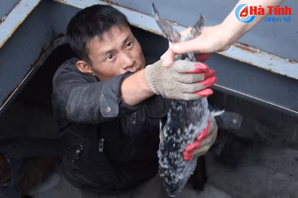 doi lao dong dia phuong chu tau vo thep buoc tim nguoi ngoai tinh