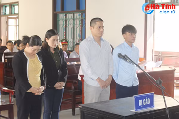 mo lai phien toa xet xu vu phu phep 8 ty dong tien hoan thue