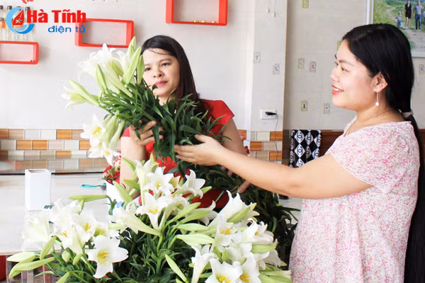hoa loa ken hut hon phai dep ha tinh