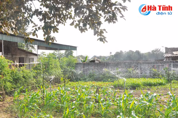 ve lang bien nghi xuan xem khu dan cu mau