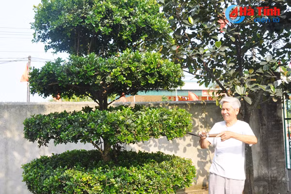 ve lang bien nghi xuan xem khu dan cu mau
