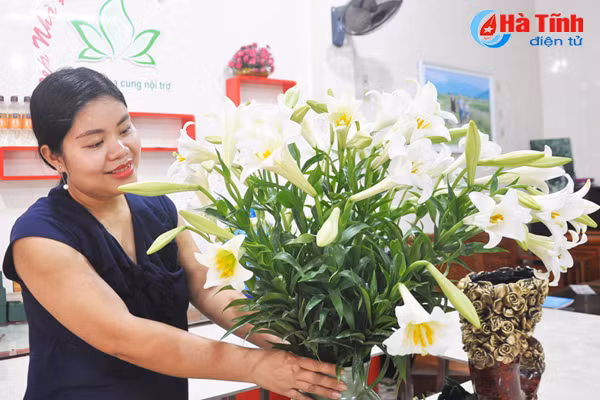 hoa loa ken hut hon phai dep ha tinh