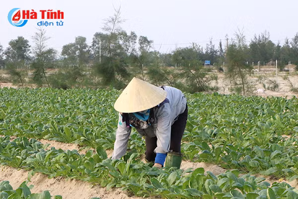 dung mo sat thach khe bai 13 chua muon de khai thac tai nguyen noi