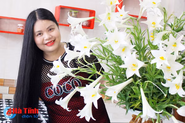 hoa loa ken hut hon phai dep ha tinh