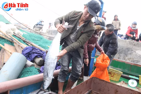 doi lao dong dia phuong chu tau vo thep buoc tim nguoi ngoai tinh