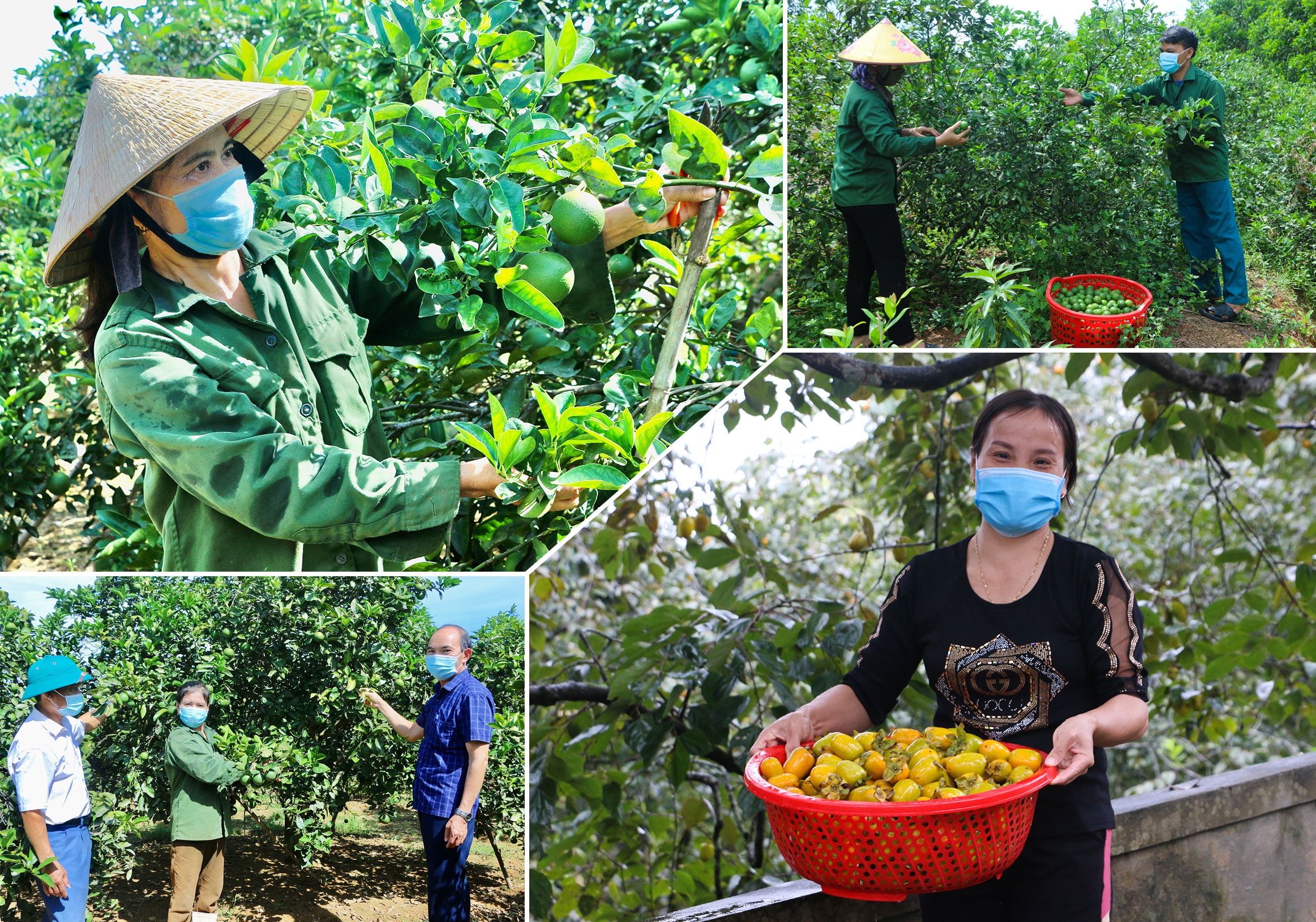 Xây dựng nông thôn mới ở Vũ Quang - “chỉ có khởi đầu, không có kết thúc” (bài 1): Hành trình huyện miền núi - biên giới đầu tiên của cả nước đạt chuẩn nông thôn mới