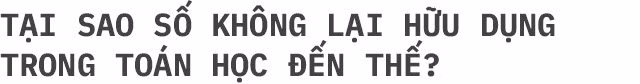 Số “0” - phát minh vĩ đại của nhân loại, đến não bộ con người cũng không hiểu hết
