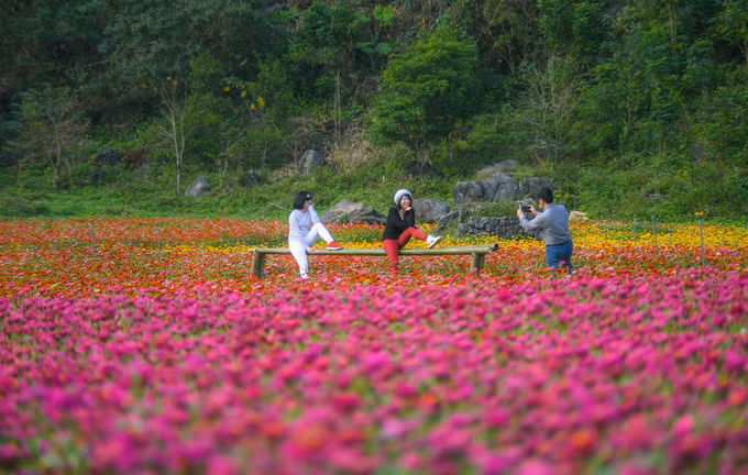Bên trong thung lũng hoa lớn nhất Việt Nam
