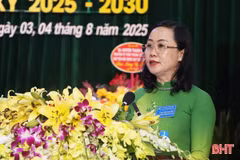 Đại hội đảng bộ các xã Cẩm Xuyên, Toàn Lưu