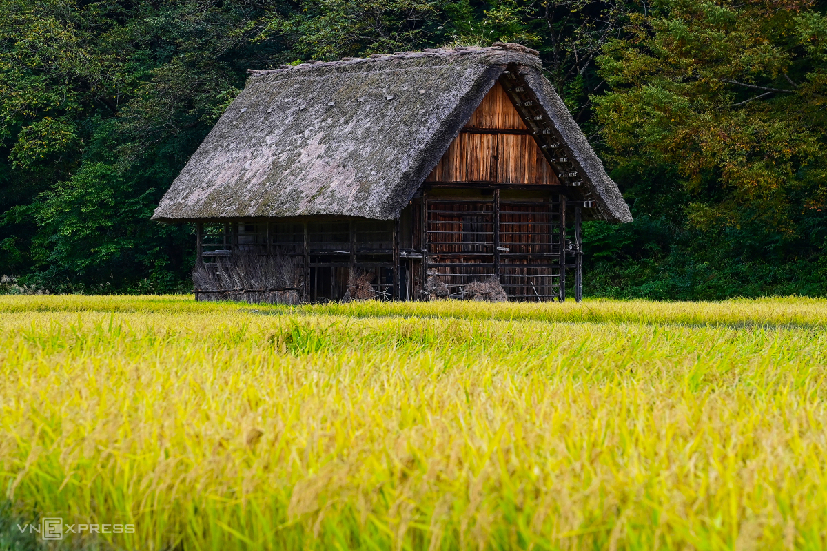 Làng cổ Shirakawa-go ngày chớm thu