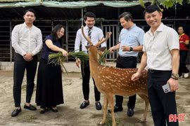 Từ sản phẩm OCOP đến trải nghiệm du lịch