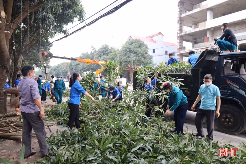 Ra quân cắt tỉa cây xanh, chỉnh trang đô thị tuyến đường Nguyễn Du