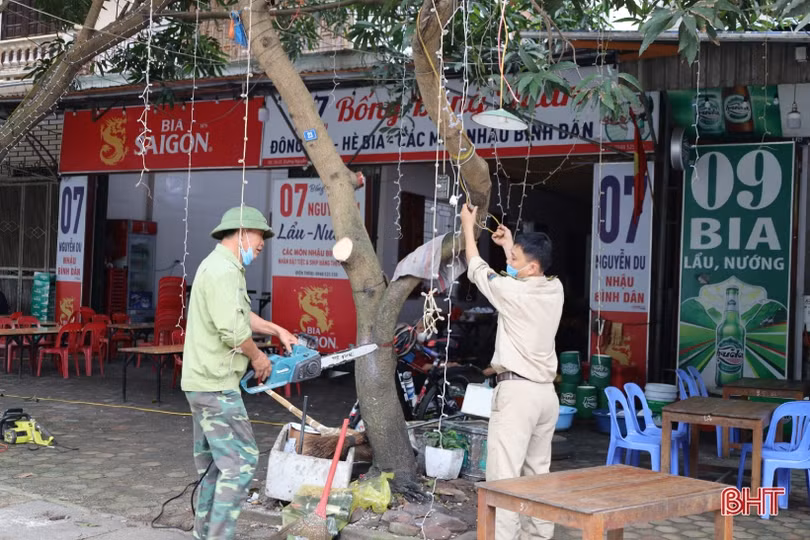 Ra quân cắt tỉa cây xanh, chỉnh trang đô thị tuyến đường Nguyễn Du