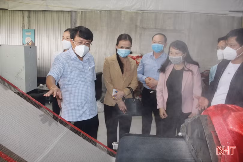 Tuyên truyền, nhân rộng các mô hình sản xuất nông nghiệp công nghệ cao tại TP Hà Tĩnh