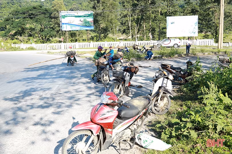 Mùa săn ong mật
