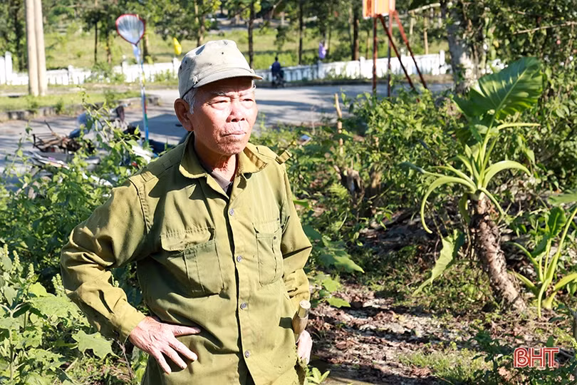Mùa săn ong mật