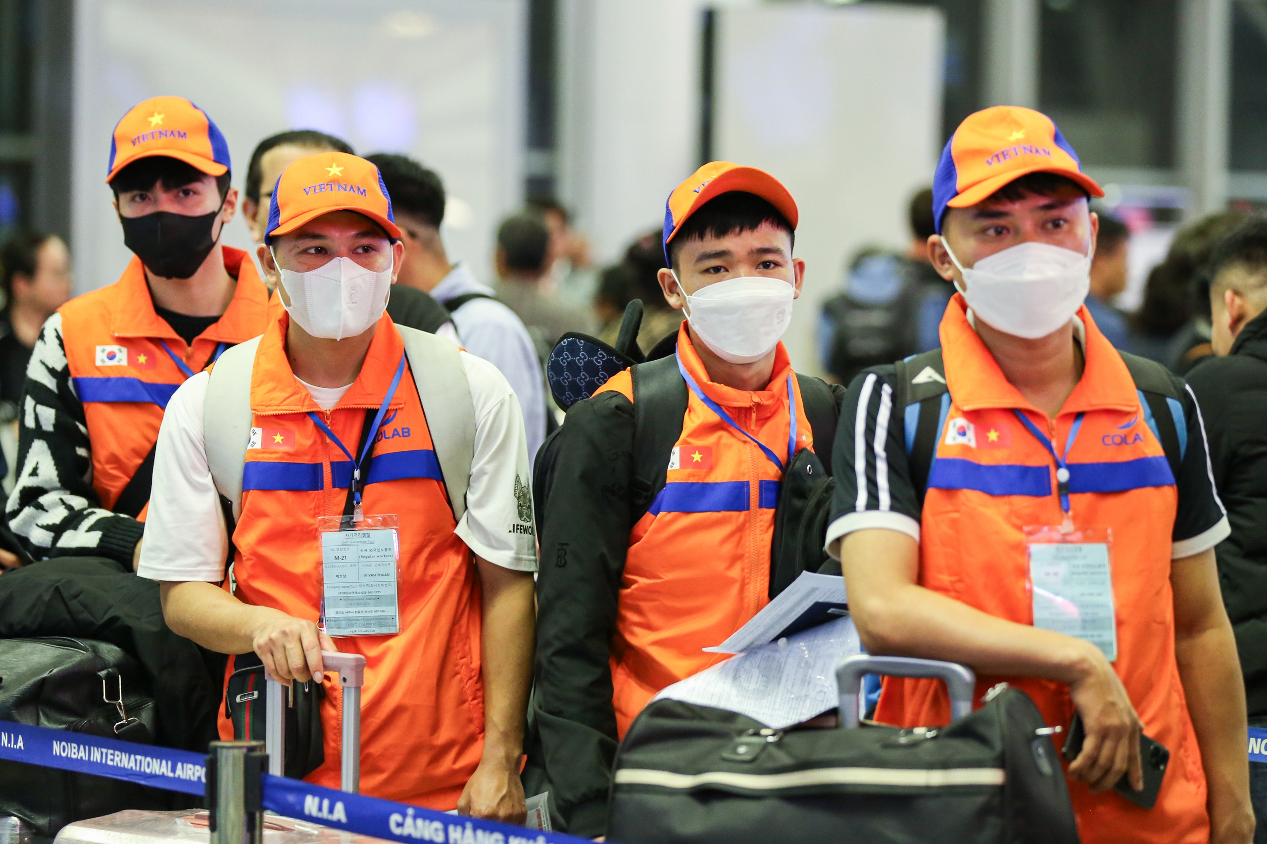xuat-khau-lao-dongson-nguyen0-17417465509271903364643.png