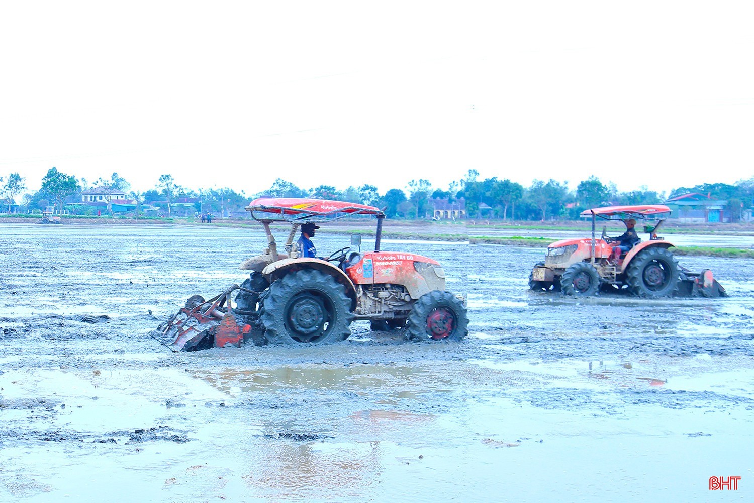 image-1.jpg