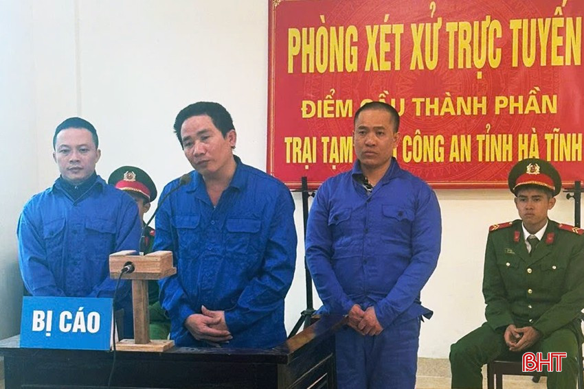 bqbht_br_cac-bi-cao-tai-dien-cau-thanh-phan-trai-tam-giam-cau-dong-c.jpg