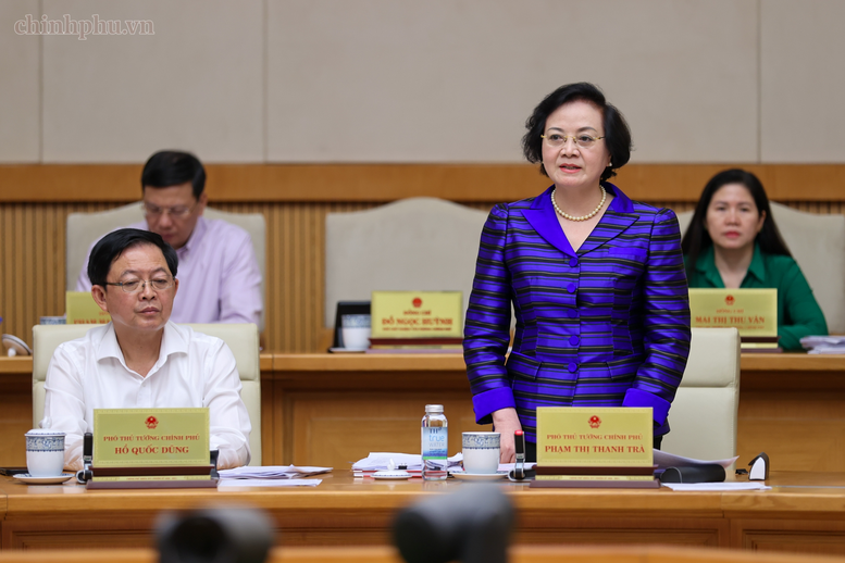 Phó Thủ tướng Phạm Thị Thanh Trà phát biểu tại phiên họp - Ảnh: chinhphu.vn/Nhật Bắc
