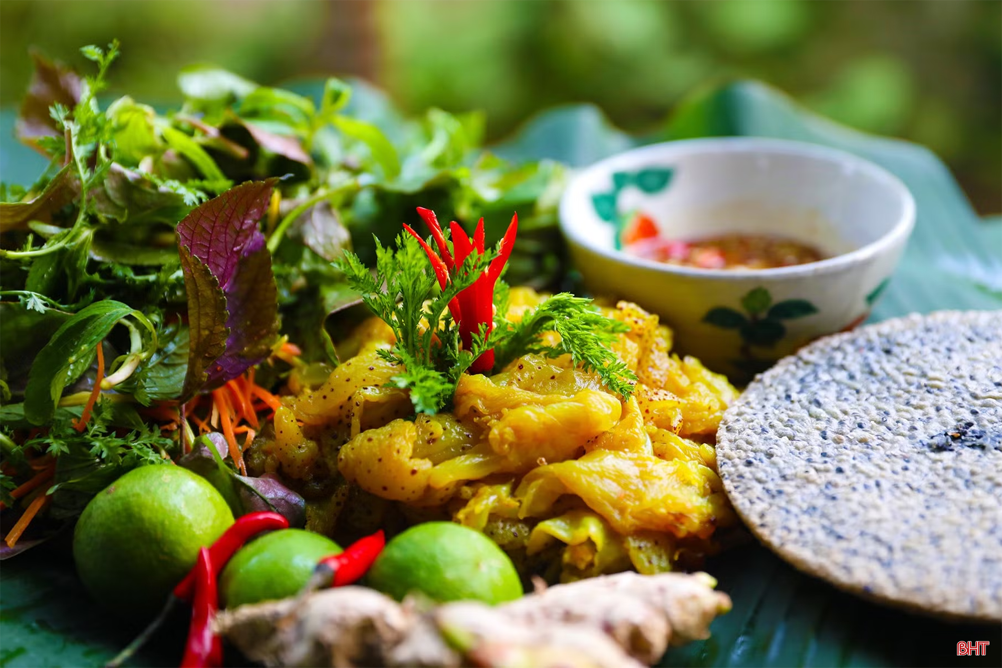 bqbht_br_bqbht-br-ag7a3382jpg.png