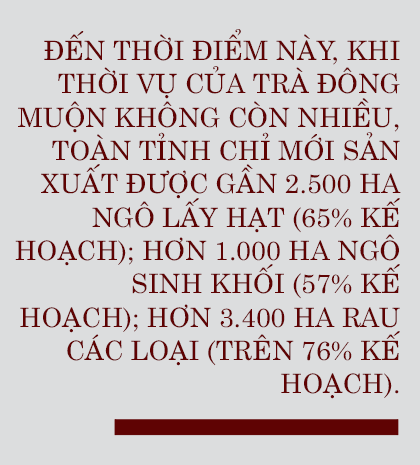 Vụ đông ở Hà Tĩnh - khi nông dân sản xuất theo “thông lệ”... trông chờ!