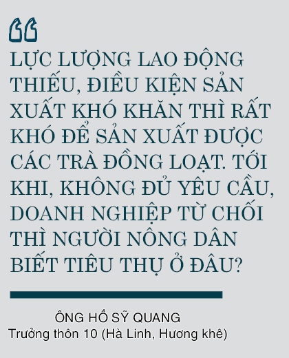 Vụ đông hàng hóa và những bước lùi” (bài 1): Đâu rồi những cánh đồng liên kết “thẳng cánh cò bay”?!