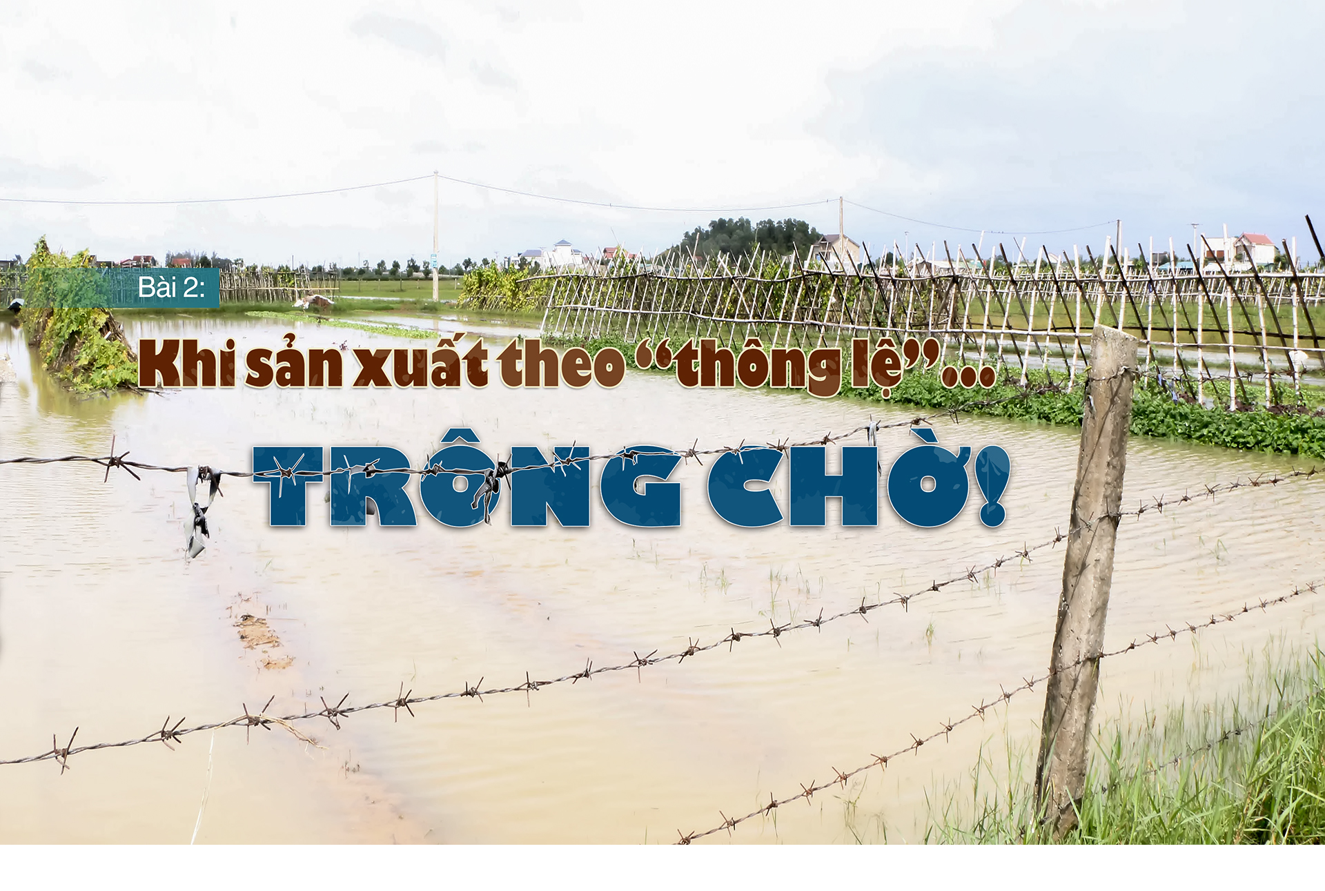 Vụ đông ở Hà Tĩnh - khi nông dân sản xuất theo “thông lệ”... trông chờ!