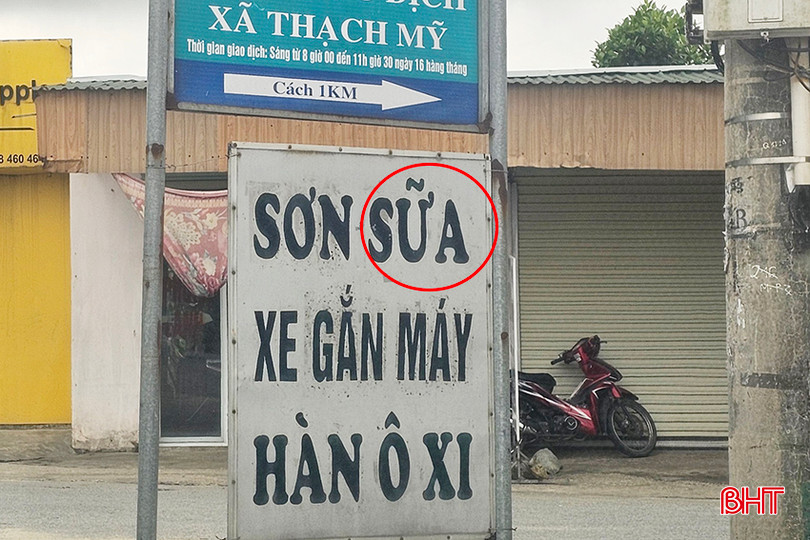 a5.jpg