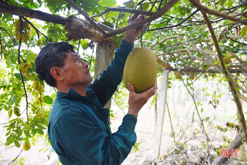 Động lực thúc đẩy xây dựng nông thôn mới ở Lộc Hà