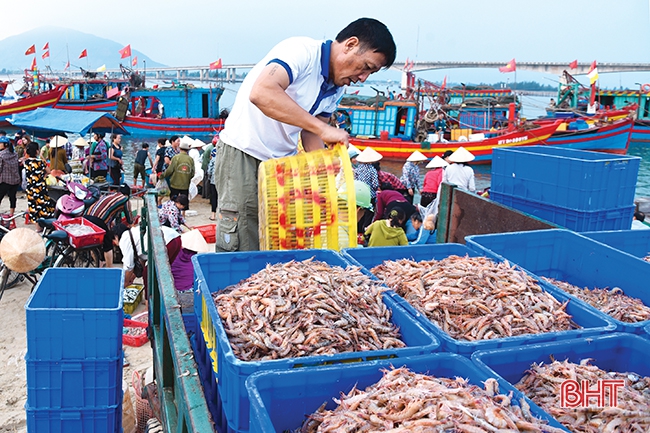 Sản vật hội tụ hồn quê