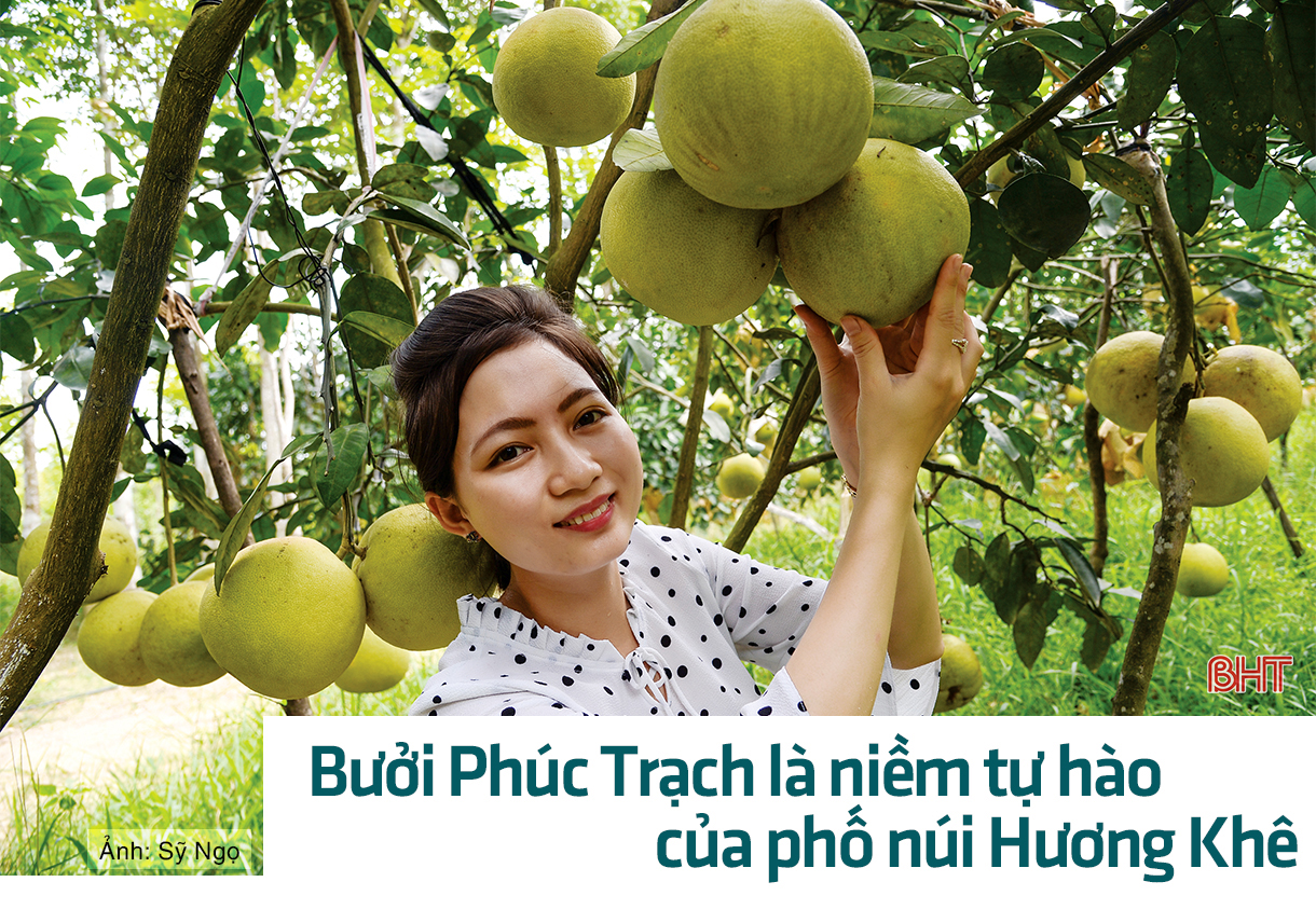 Sản vật hội tụ hồn quê