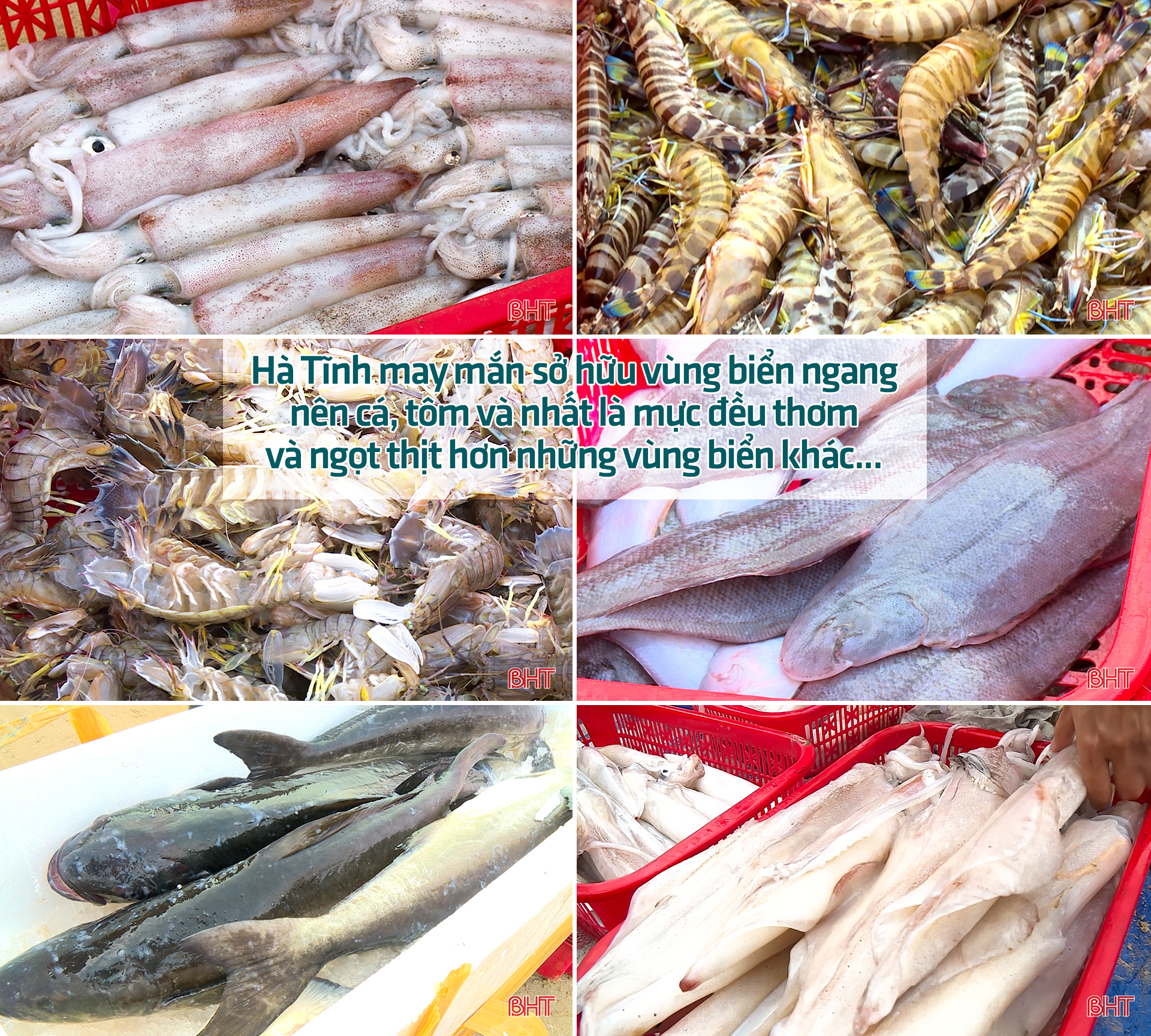 Sản vật hội tụ hồn quê