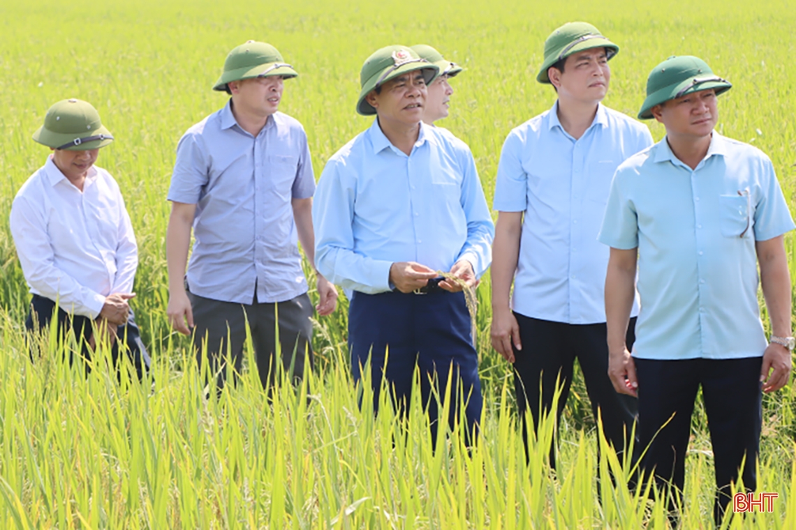 Chủ tịch UBND tỉnh: Sớm đề xuất Bộ NN&PTNT bổ sung hệ thống lan can tuyến kênh Linh Cảm