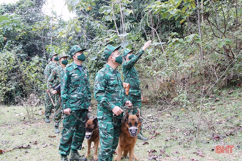 Cảnh khuyển - người bạn đặc biệt của Bộ đội Biên phòng Hà Tĩnh