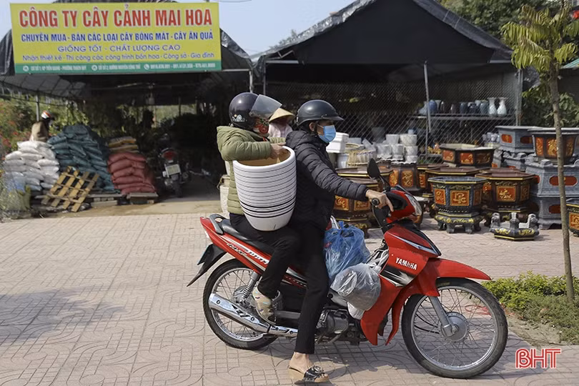 Cơ sở sản xuất chậu cây cảnh ở Hà Tĩnh tất bật vào vụ tết