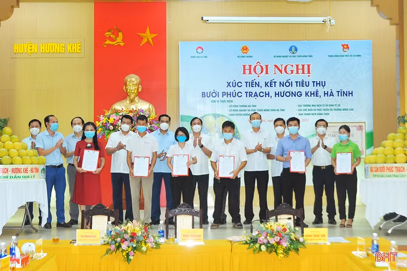 Hơn 150 tấn bưởi Phúc Trạch được kết nối tiêu thụ qua sàn thương mại điện tử