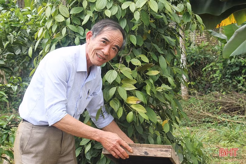 Người Hà Tĩnh bày tỏ niềm tự hào về quê hương, đất nước nhân dịp Quốc khánh 2/9